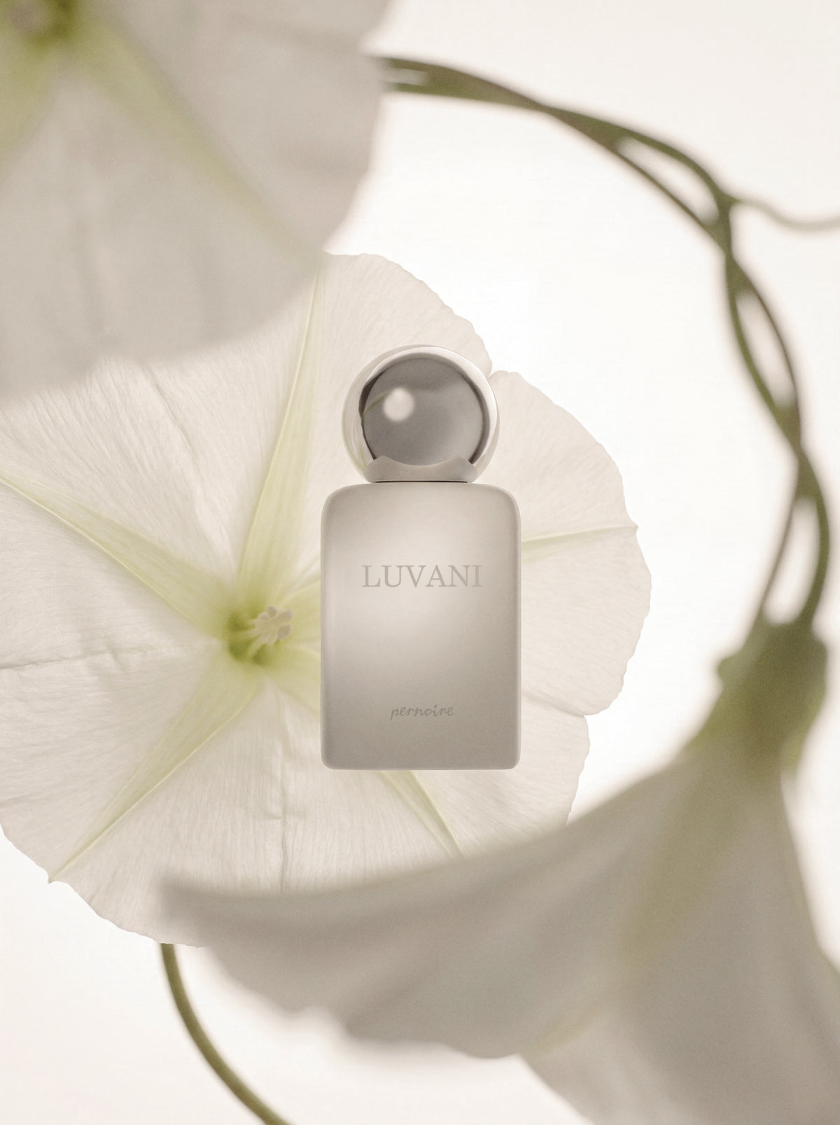 Luvani