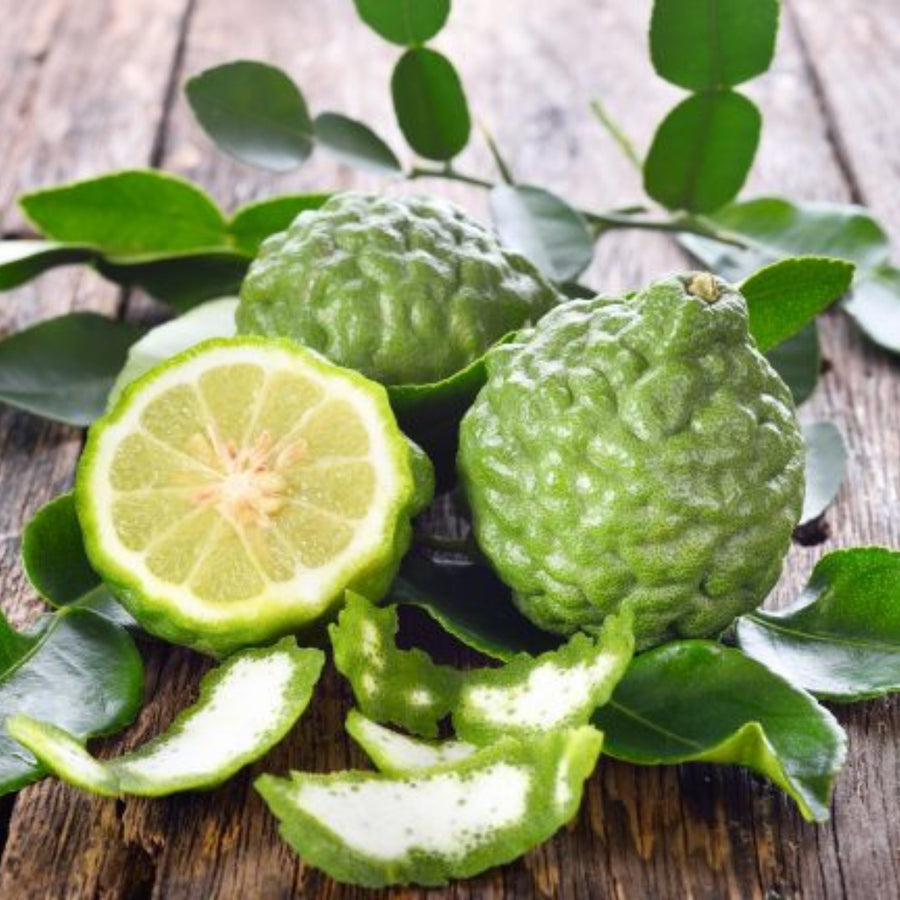 Bergamot