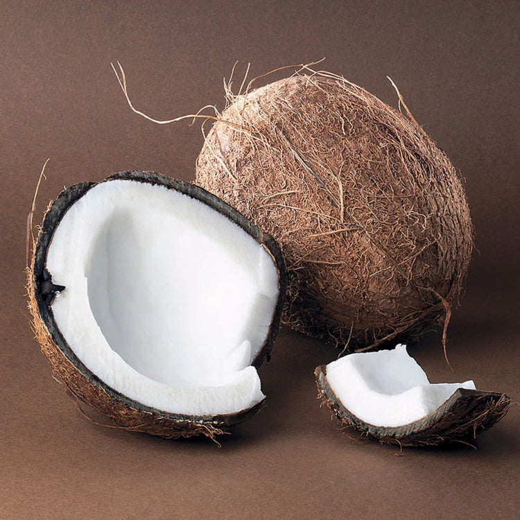 Coconut