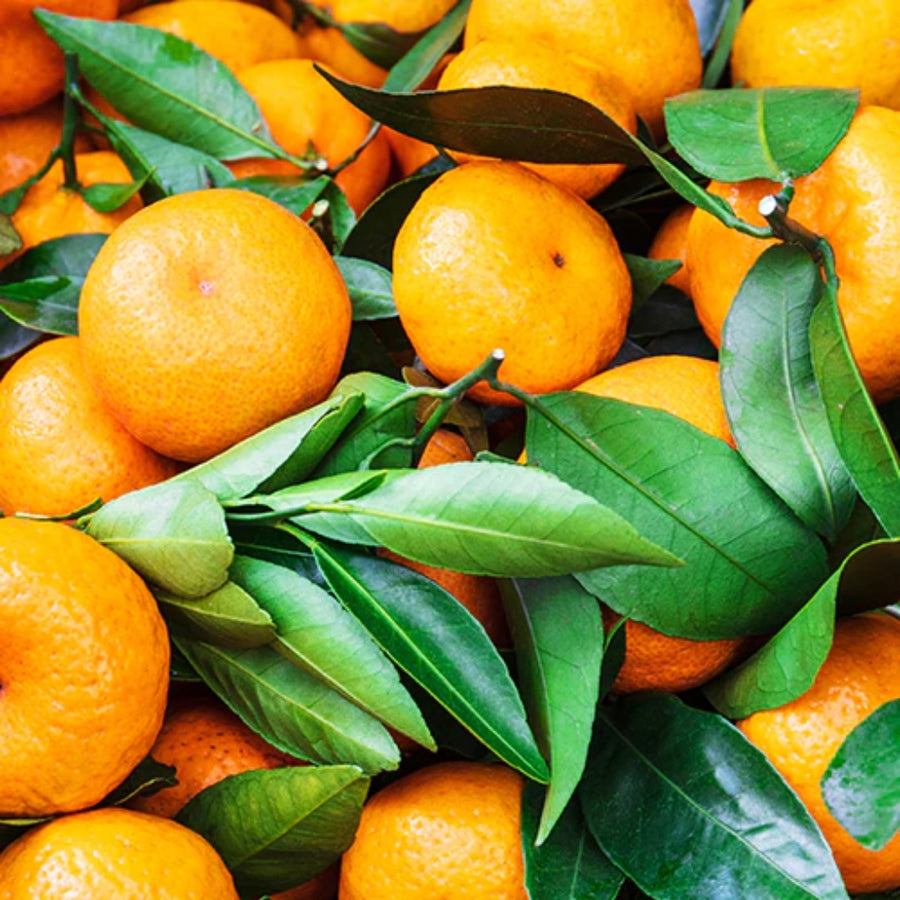 Mandarine