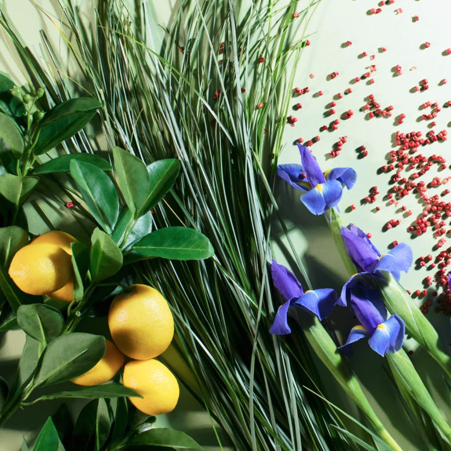 Vetiver