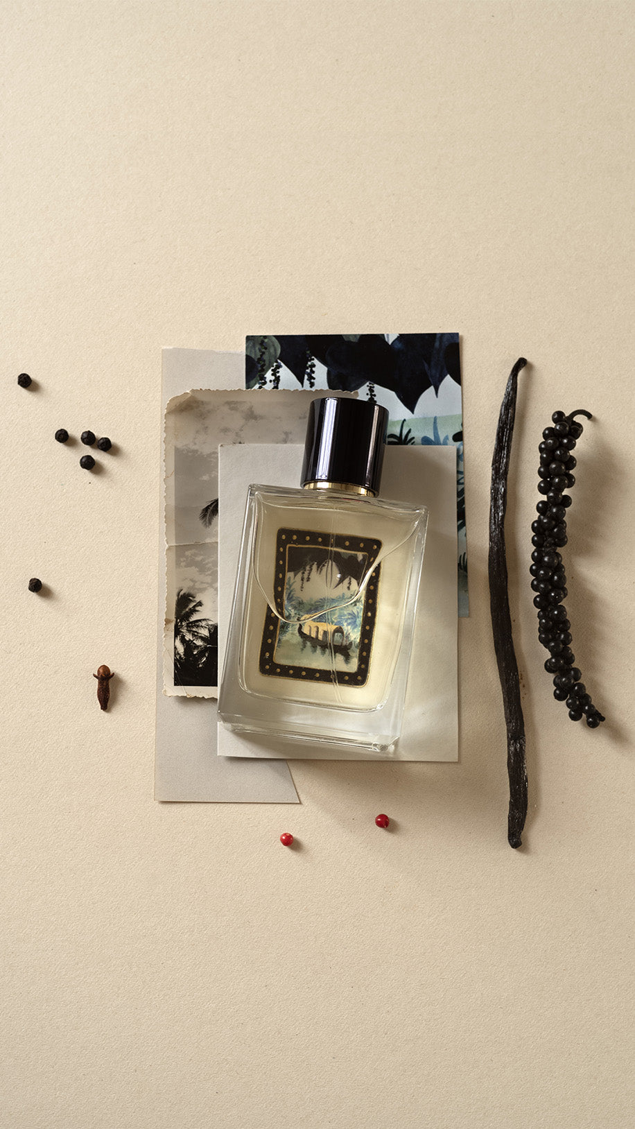 Perfume bottle with vanilla bean and peppercorns on a beige background